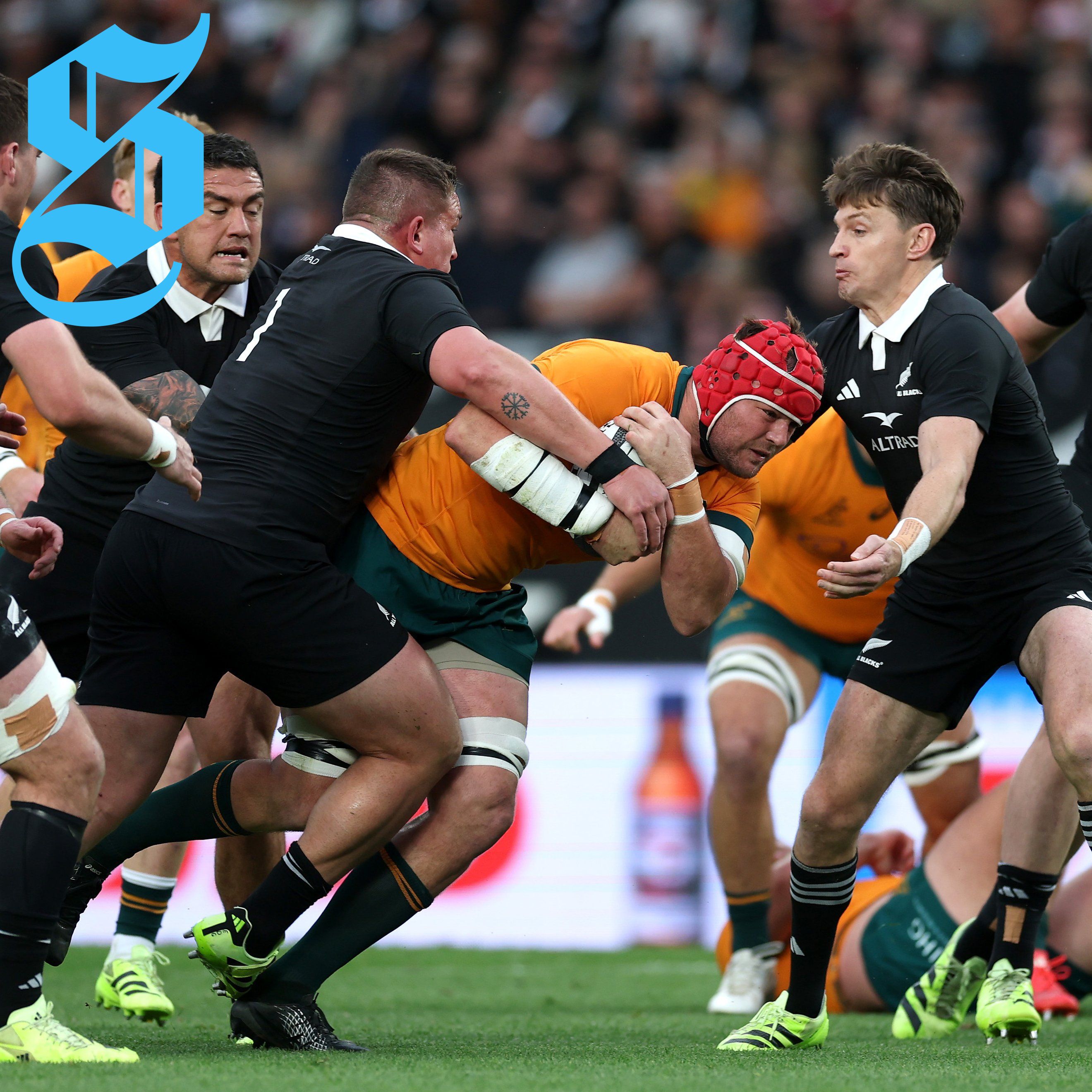 Springboks Control Rugby Championship After All Blacks Best Australia